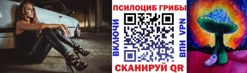 Псилоцибиновые грибы прущие грибы  Отрадный 